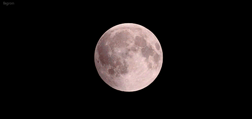 XHUNTERMOON
